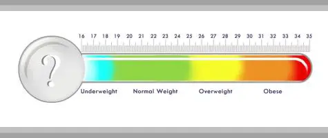 BMI Chart for Women & Men