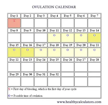 Ovulation Calculator & Calendar: When Do I Ovulate?