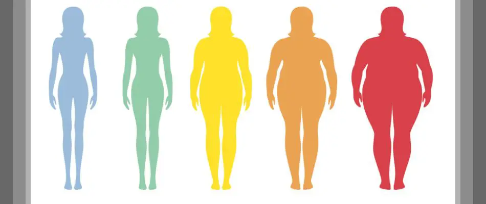 BMI Calculator. Calculate your Body Mass Index with our online free calculator