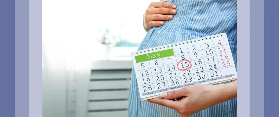 Ovulation date calculator helps you track your fertile period and your ovulation date if your menses are regular