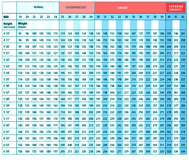 BMI Chart based on height and weight for women and men