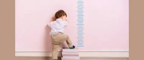 Childrens Height Predictor